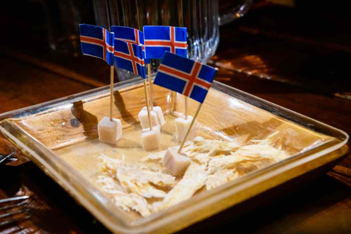 Fermented Shark in Iceland