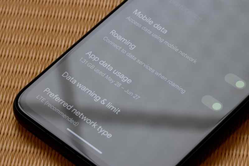 Smartphone settings for mobile data and roaming Smartphone settings display options for mobile data, roaming, data usage, and preferred network type.